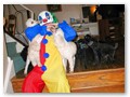 Album 6
The poodles are not scared of the scary clown, it's only Jason