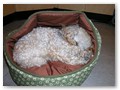 Album 8
Harpo's owner writes:
Here’s a new photo of Harpo – sound asleep in a small dog bed (I keep one in the kitchen so he can be comfortable while I cook). I think he’s begun to grow out of the habit of seeing his beds as toys. He chewed up about 4 previous beds!